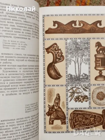 Вълшебния свят на дървото - на руски , снимка 6 - Художествена литература - 49365716