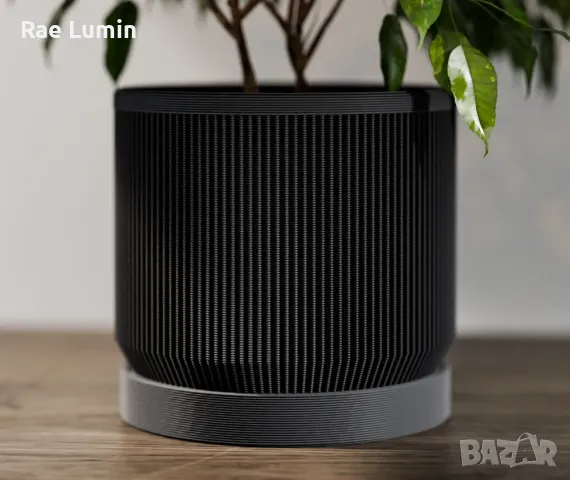 Саксия – Средновековен шик, снимка 1