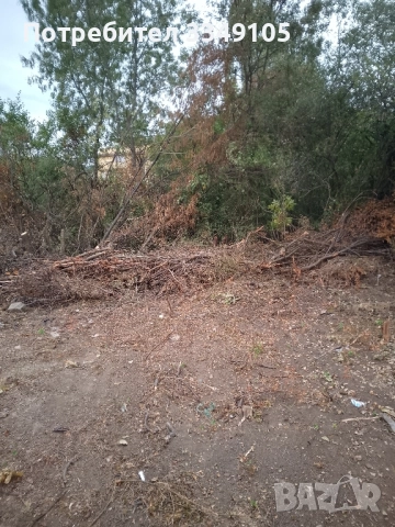 под наем , снимка 4 - Други услуги - 52558001