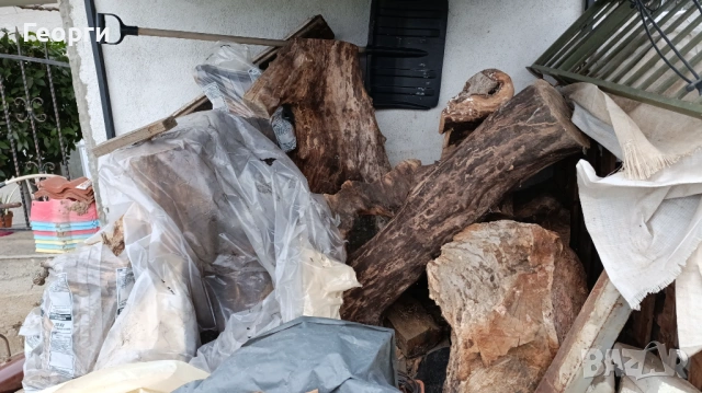 Орехов материал 