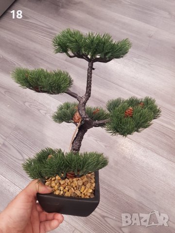 Бонсай , Бонзай, снимка 6 - Декорация за дома - 39304703
