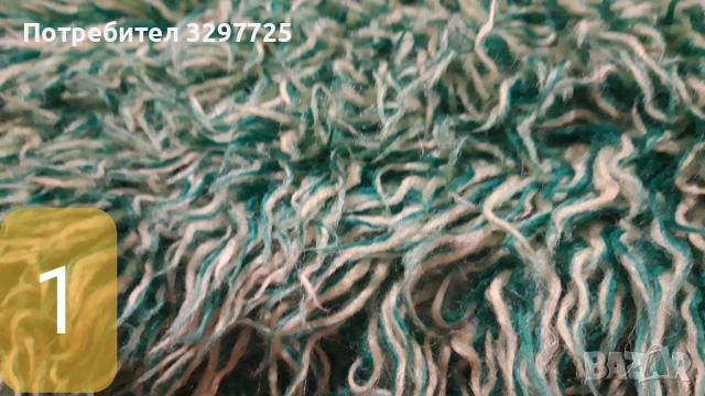 🔥КИТЕНИЦИ 🔥100% ВЪЛНА