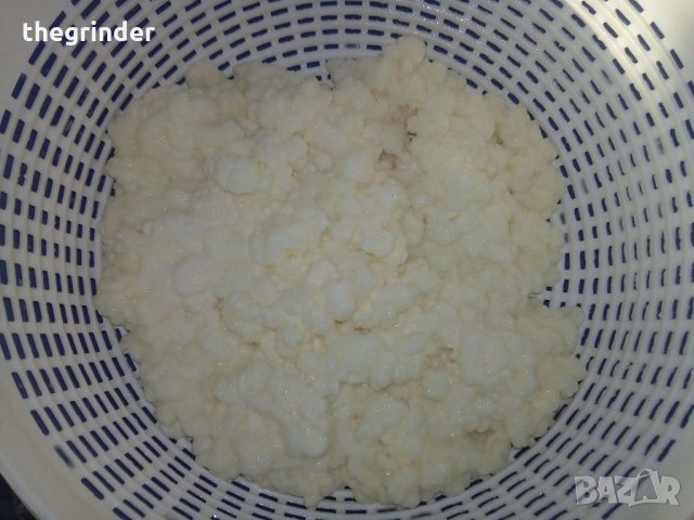 Продавам домашен Кефир , произведен от тибетска бяла млечна кефирена гъба и мляко