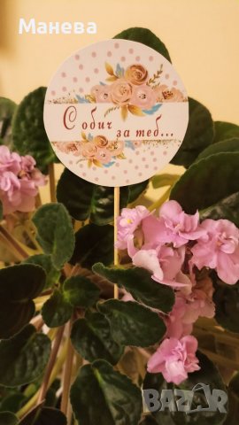 Послание на клечка , снимка 10 - Декорация за дома - 39305794