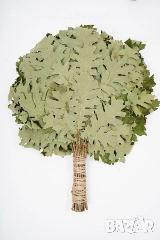 Метлички за сауна дъб/бреза. Веники для бани дуб/берёза., снимка 6 - Други стоки за дома - 52229107