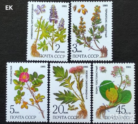 СССР, 1985 г. - пълна серия чисти марки, флора, 2*12