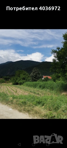 Продавам парцел 1850кв, снимка 2 - Парцели - 53023863