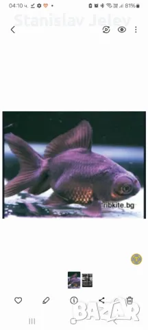 Черни московски телескопи, снимка 1