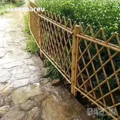 Качествени семена от бамбук Moso Bambo декоративни растения за дома бамбуков разсад за украса декор, снимка 13 - Сортови семена и луковици - 48995203