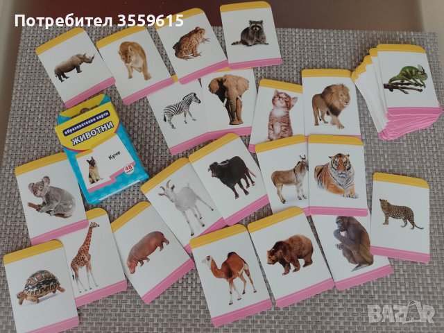 комплект 48 бр. детски образователни карти с животни