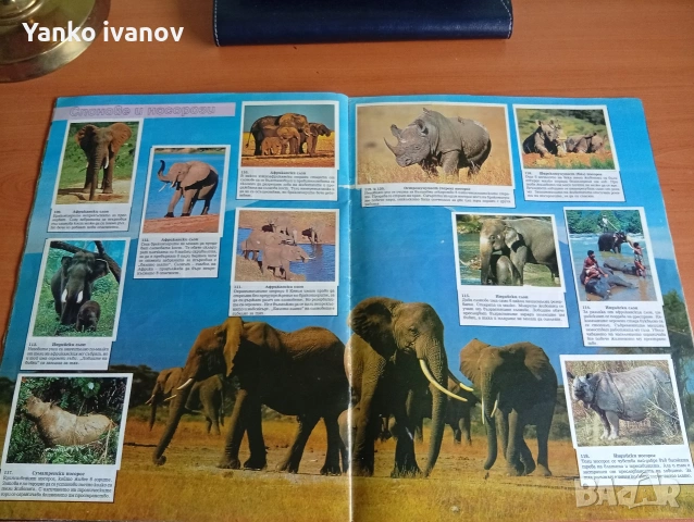 Спасете застрашените животни, снимка 7 - Филателия - 53964540