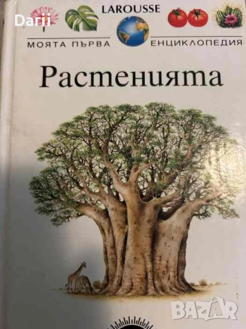 Моята първа енциклопедия: Растенията- Филип Шуър, Дан Грейзууд