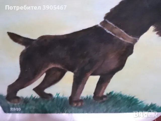 Моят любим шнауцер, снимка 5 - Други ценни предмети - 56109466