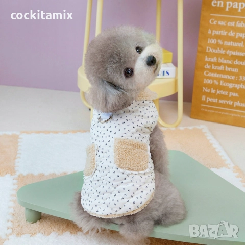 Яке за куче размер S