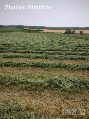 Люцерна 1-ви откос