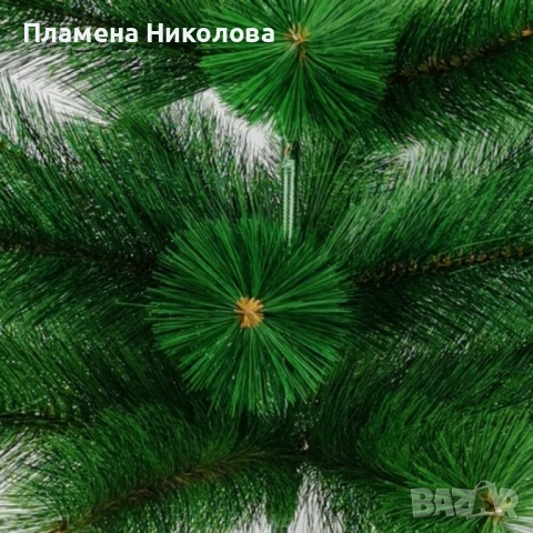 Елха естествено зелена с шишарки, снимка 5 - Декорация за дома - 52301887