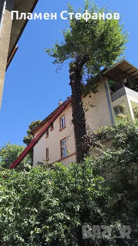 Дъб дърва за огрев 6 куб. плътно, снимка 5 - Дърва за огрев - 56248106