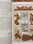 Вълшебния свят на дървото - на руски , снимка 6