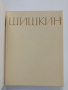 Шишкин, снимка 7