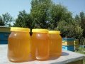 Български полифлорен пчелен мед 2023 -опаковки ~1кг. и ~25кг. (полски букет-слънчоглед), снимка 1