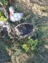 Стари кошници плетени от върбови клонки., снимка 2