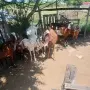 Кози и женски ярета , снимка 2