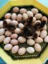   Разплодни яйца от Катунски кокошки, снимка 5