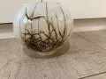 Ваза  за  цветя, снимка 4