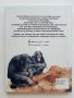 Детска енциклопедия "Animals -my first reference library" - 1994г., снимка 8