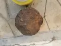 СТАРО АНТИЧНО ГЮЛЕ 1/2 1908261059, снимка 10