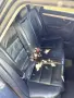 Audi A4 2.0TDI 16v, снимка 6