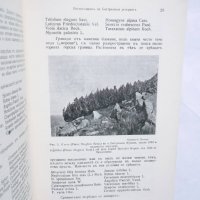 Стара книга Сборникъ за защита на природата. Книга 2 Слави Лазаров и др. 1939 г., снимка 4 - Други - 29655304