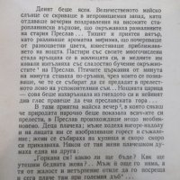 Книга "Нещастна фамилия - Васил Друмев" -124 стр., снимка 4 - Художествена литература - 37013865