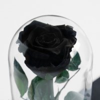 Подарък за Рожден ден / Естествена Черна Роза в Стъкленица / Нестандартен Подарък за Жена, снимка 4 - Други - 38771449
