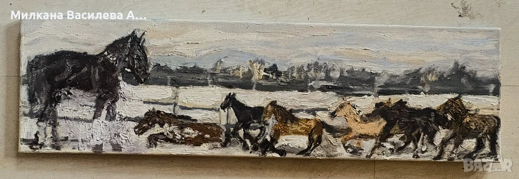 Гаризуп, Незабравимият Ахал Теке, снимка 1