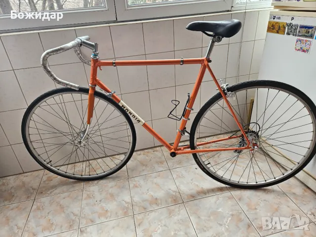 Ретро шосейна рамка Mondia