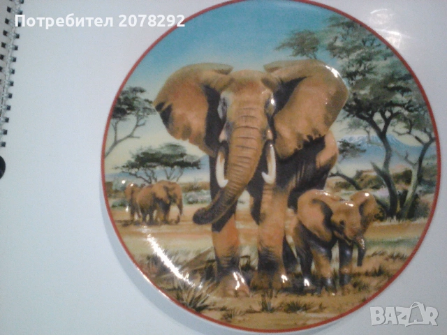 Комплект колекционерски чинии за стена, снимка 4 - Декорация за дома - 53363911