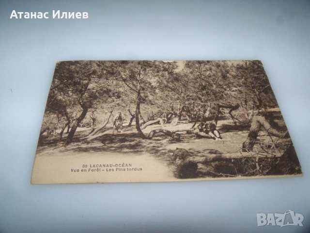 Стара пощенска картичка от Lacanau Франция, снимка 6 - Филателия - 42798300