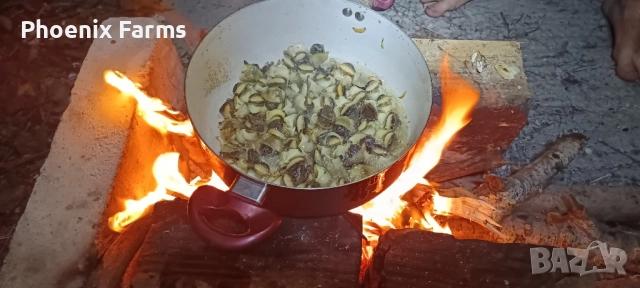 Пресни Рапани, Шипки, Билков Мед, пелин, снимка 4 - Домашни продукти - 51942912