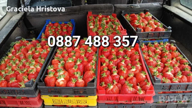 Побързайте – почти сме към края на сезона! Остават последни количества., снимка 13 - Други стоки за дома - 54349942