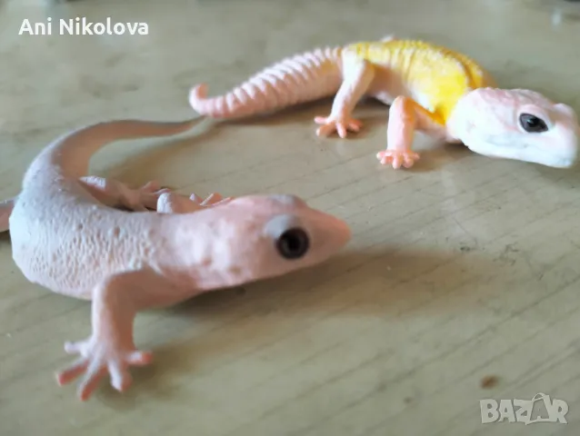 Реалистични играчки , снимка 2 - Фигурки - 50346820