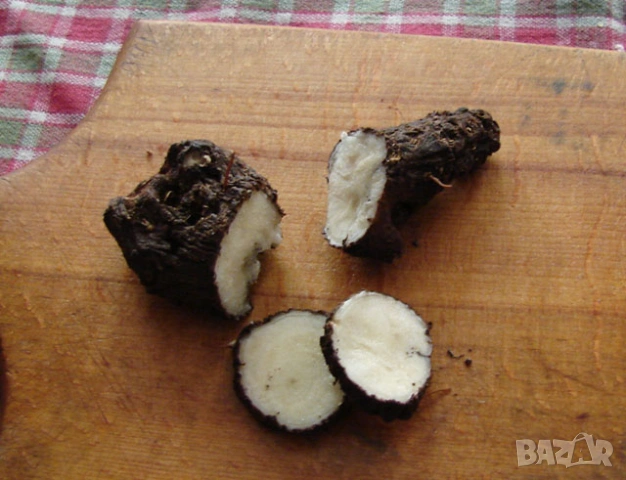 Корени Брей Tamus communis