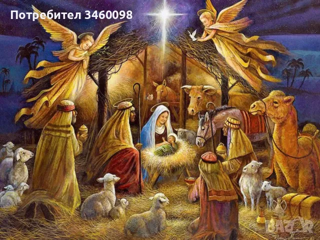 Ясновидка моника , снимка 1