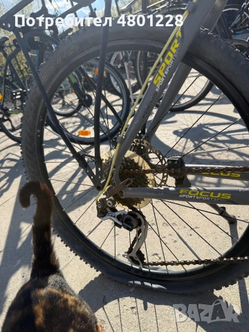 Колело focus fat boy grey and yellow , снимка 5 - Велосипеди - 54240776