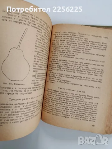 Овощарство 1955г, снимка 7 - Специализирана литература - 56271266