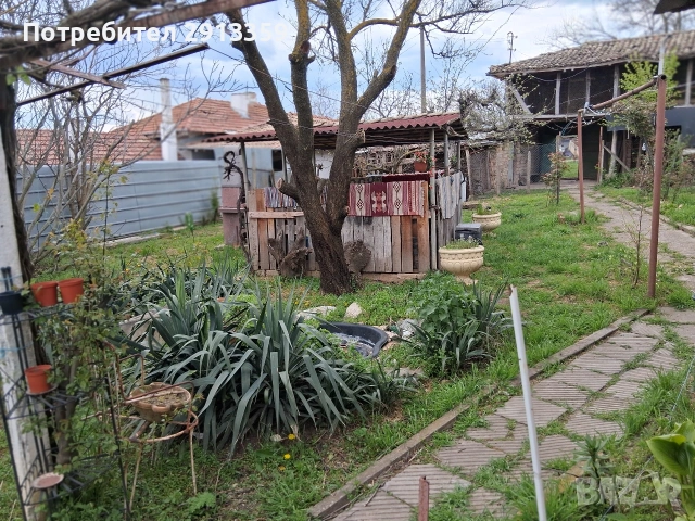 Селски имот в село Баячево-Собственик, снимка 7 - Къщи - 54242247