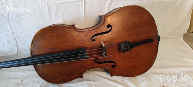 Виолончело Jan Basta cello for sale лък Otto Durrschmidt bow for sale, снимка 3 - Струнни инструменти - 40086733