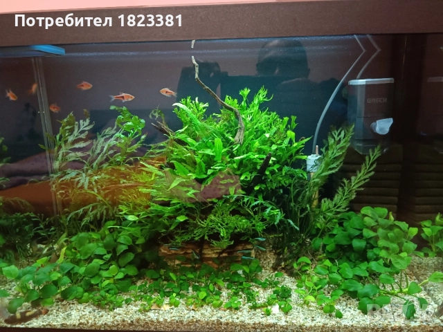 Напълно оборудван и работещ аквариум , снимка 5 - Аквариуми - 49185034