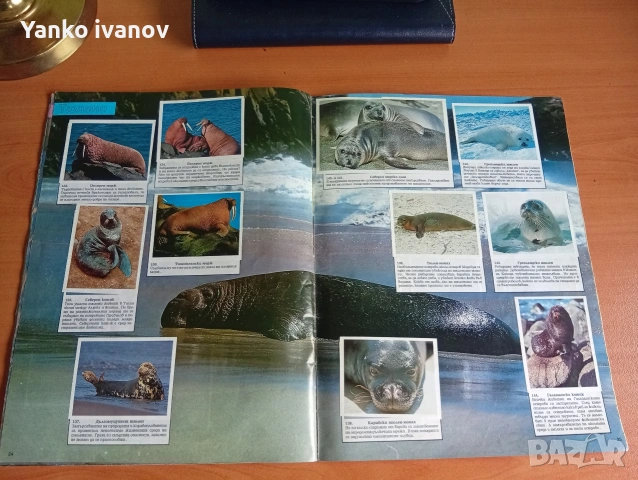 Спасете застрашените животни, снимка 8 - Филателия - 53964540