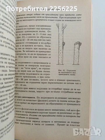 Отглеждане на земеделски култури, снимка 7 - Специализирана литература - 53084661
